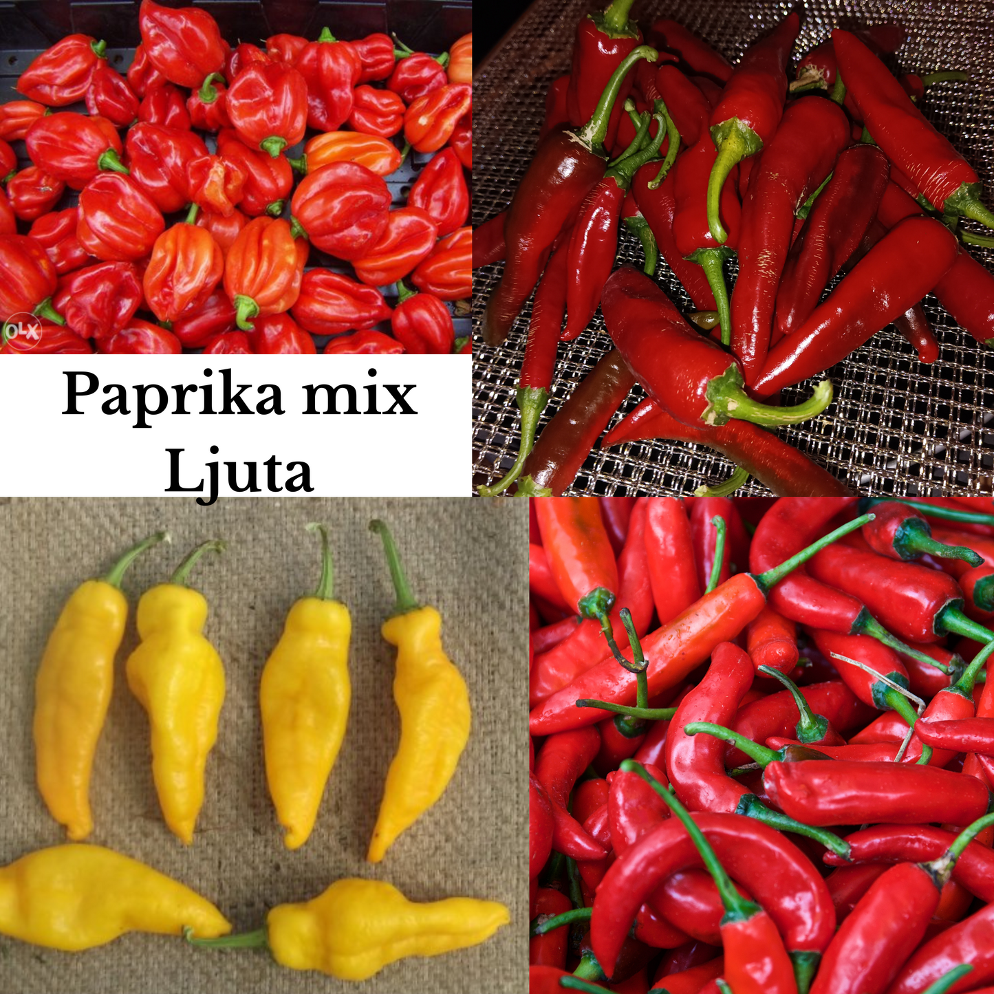 Paprika Ljuta Mix 🌶️