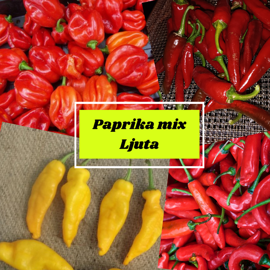 Paprika Ljuta Mix 🌶️